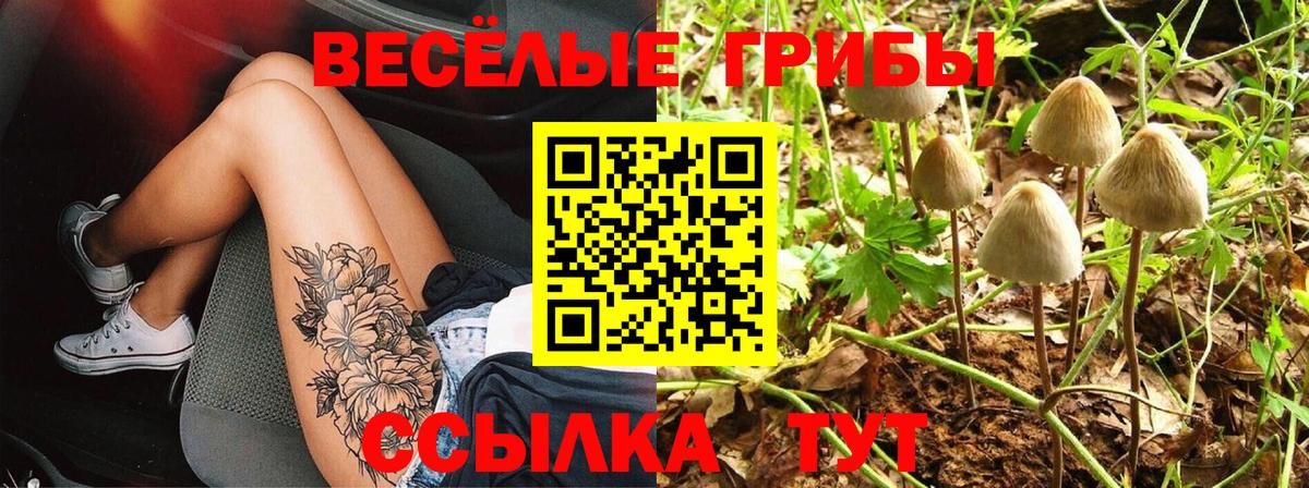 Ишимбай  Галлюциногенные грибы прущие грибы  Вход с VPN  Галлюциногенные грибы прущие грибы 