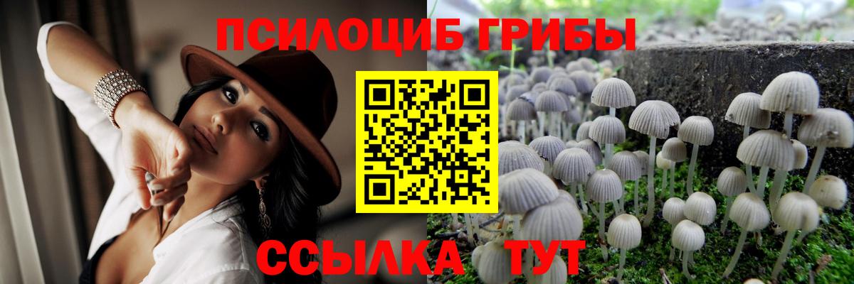 Галлюциногенные грибы ЛСД Ишимбай